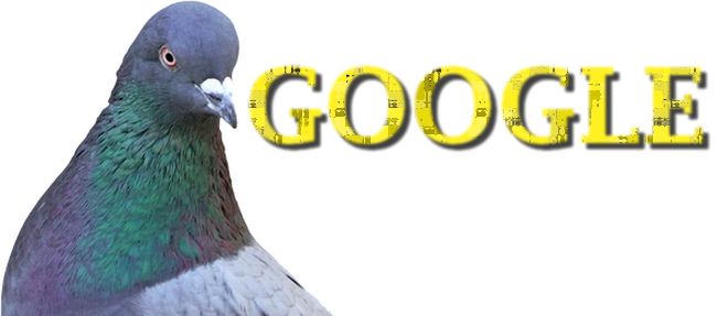 Cómo adaptar tu página web a PIGEON, el nuevo algoritmo de Google