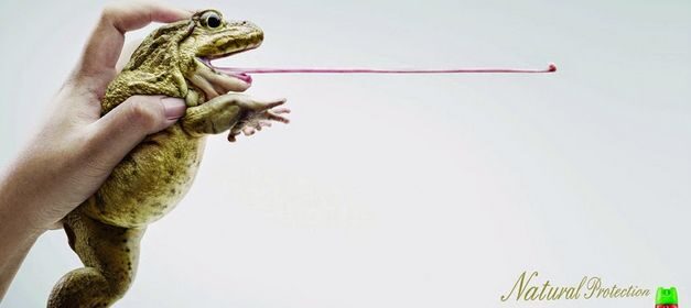 Publicidad y Pedagogía: Cousinet y Ogilvy