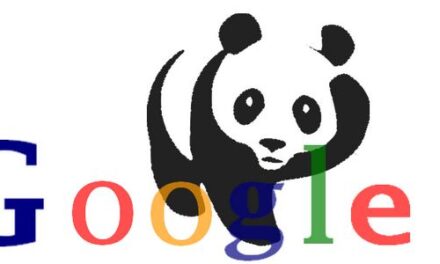 Google Panda 4.0, ¿qué hay que tener en cuenta?