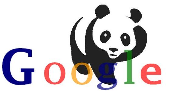 Google Panda 4.0, ¿qué hay que tener en cuenta?