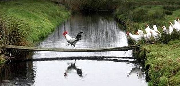 12 mandamientos para dejar de perder seguidores en redes sociales