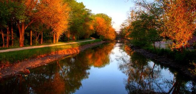 Qué es el canal de distribución