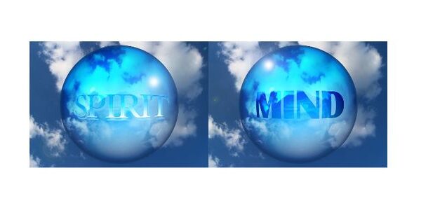 Qué son los consumer insights