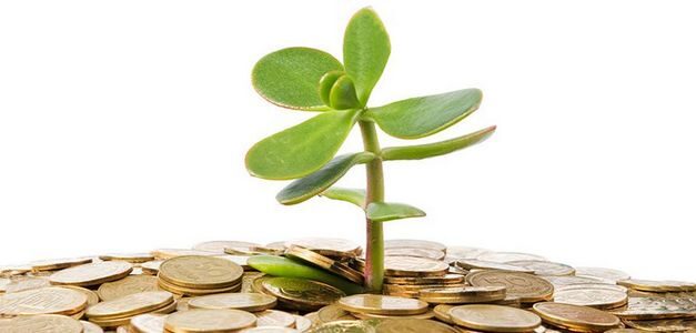 ¿Qué es una start-up?