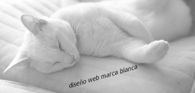 El diseño web de marca blanca ¿qué es?