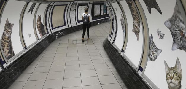 Una campaña de crowdfounding cambia la publicidad por gatos en una estación del metro de Londres