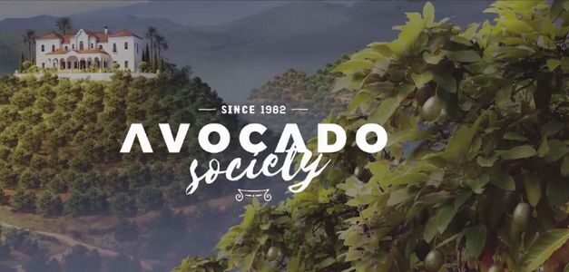 Montosa crea la Sociedad del Aguacate