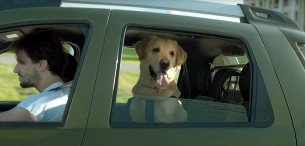 Renault Argentina desarrolla la campaña Pet Friendly a favor de las mascotas
