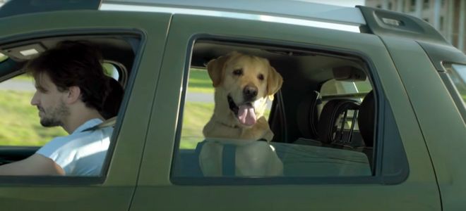 Renault Argentina desarrolla la campaña Pet Friendly a favor de las mascotas