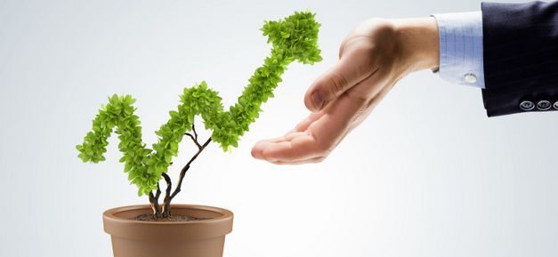 ¿Qué es el eco marketing?