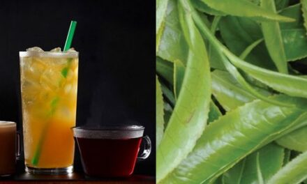 Starbucks vuelve a la carga con el té helado