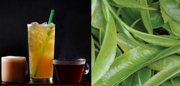 Starbucks vuelve a la carga con el té helado