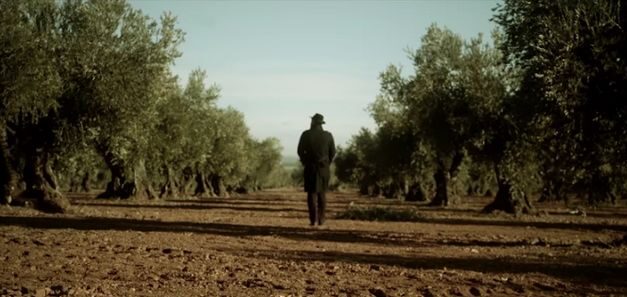 Taste the Truth', una campaña para promocionar los Aceites de Oliva de España en EE.UU.
