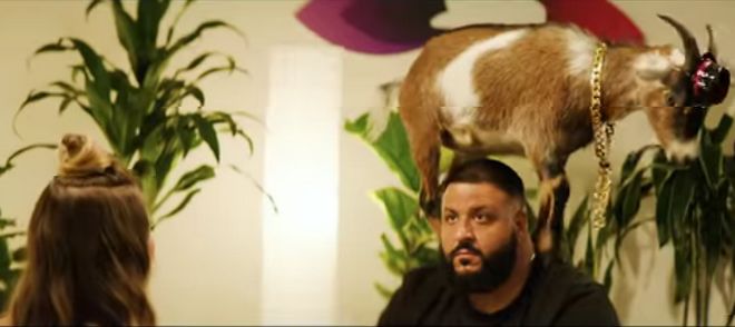 DJ Khaled practica yoga con un grupo de cabras en el nuevo spot de ron Bumbu