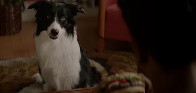 Burger King también quiere alimentar a los amigos perrunos