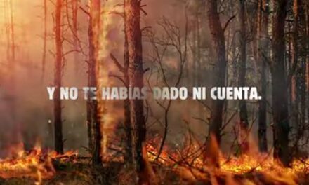 Burger King quemará sus propios anuncios para concienciar sobre los incendios forestales