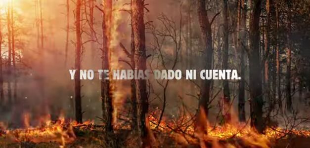 Burger King quemará sus propios anuncios para concienciar sobre los incendios forestales