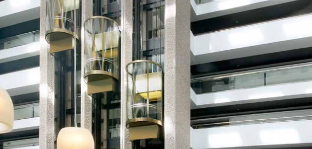 "Nuestro éxito reside en nuestro equipo humano y contar con una sólida cultura de empresa"