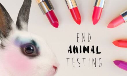 Dove y The Body Shop instan a la UE que mantenga la prohibición de la experimentación en animales