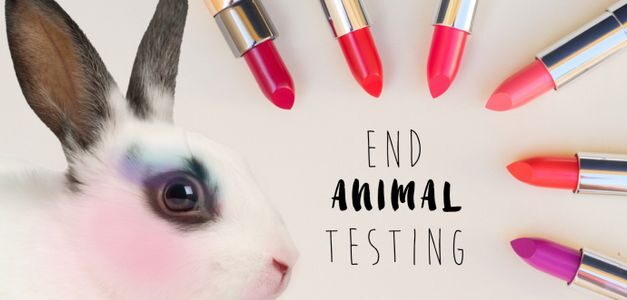Dove y The Body Shop instan a la UE que mantenga la prohibición de la experimentación en animales
