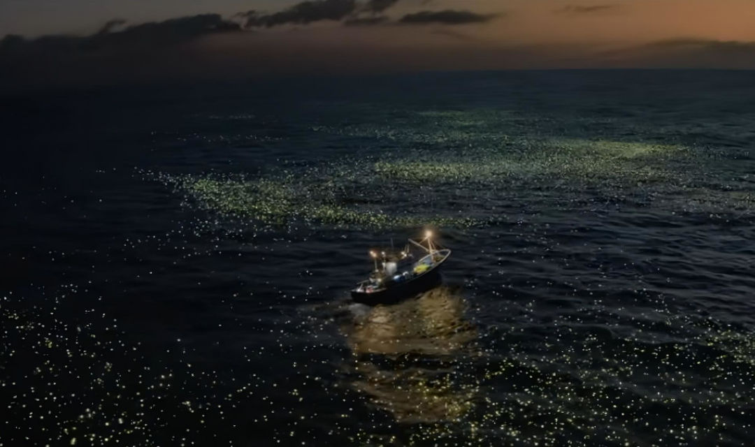 Iberdrola conquista la Nochevieja con un anuncio que celebra la conexión entre naturaleza y familia