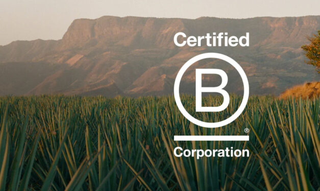 B Corp actualiza sus estándares: la comunicación veraz será un requisito evaluable y obligatorio desde 2026