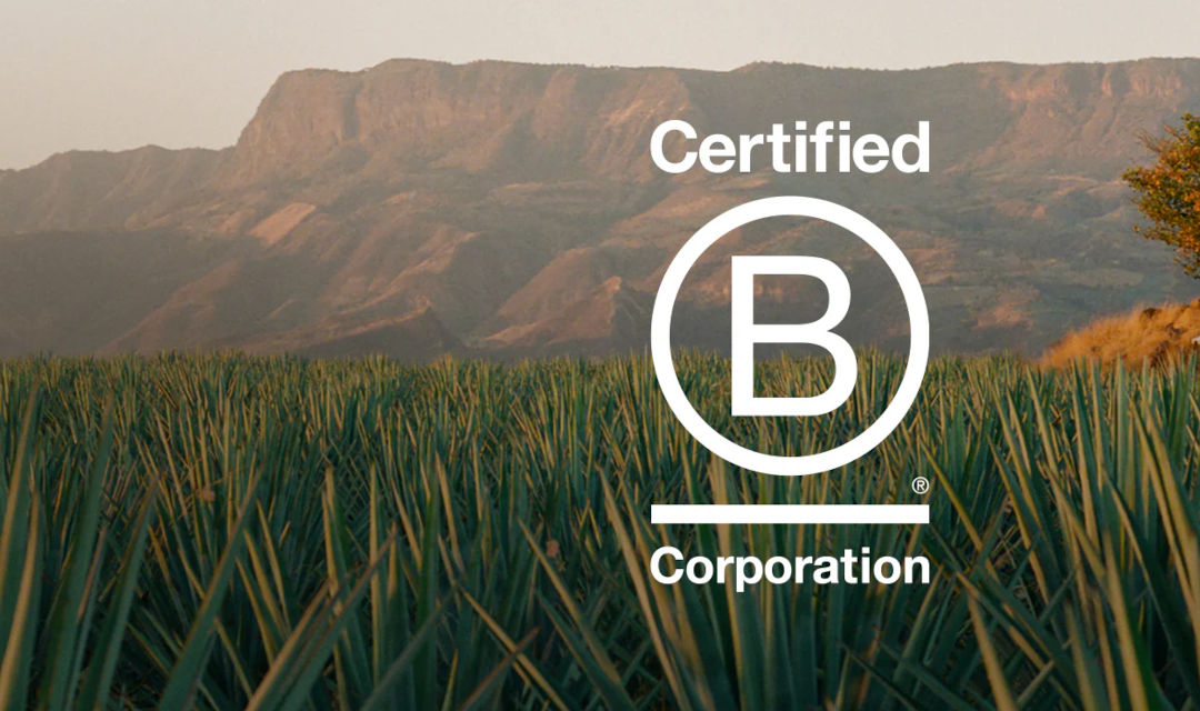 B Corp actualiza sus estándares: la comunicación veraz será un requisito evaluable y obligatorio desde 2026