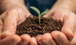 Agencia Planta supera su propia meta en certificación B Corp: un hito para la publicidad consciente en América y Europa