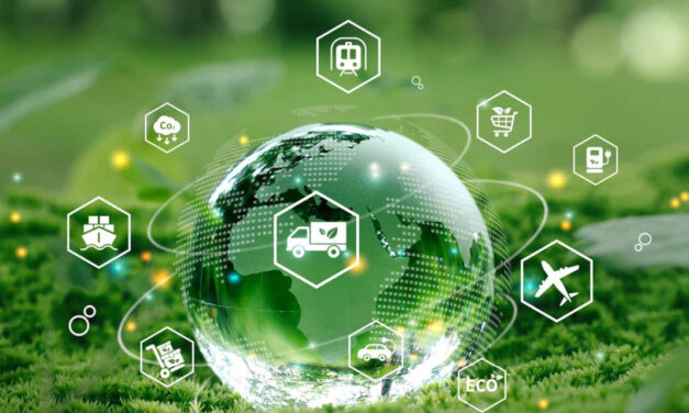 La logística verde se consolida como el factor decisivo para la rentabilidad del e-commerce ante el Black Friday