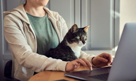 Marketing y mascotas: la humanización de los animales de compañía dispara el gasto y la innovación tecnológica