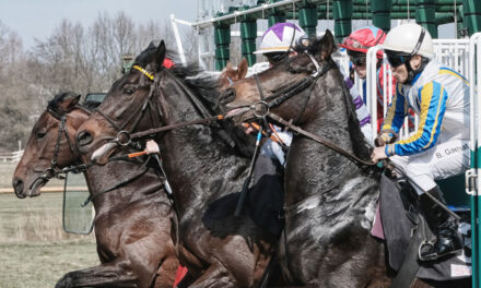 La carrera de la Experiencia ha comenzado