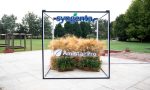 Ostara diseñó una experiencia inmersiva para el lanzamiento de la nueva línea de productos de Syngenta