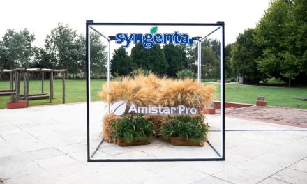 Ostara diseñó una experiencia inmersiva para el lanzamiento de la nueva línea de productos de Syngenta